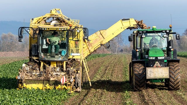 mailerlite automation features